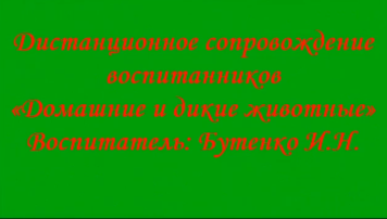 Дистанционное сопровождение воспитанников «Домашние и дикие животные» Дистанционное сопровождение воспитанников «Домашние и дикие животные».