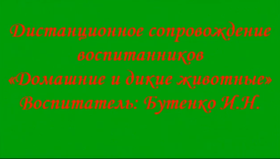 Дистанционное сопровождение воспитанников «Домашние и дикие животные» Дистанционное сопровождение воспитанников «Домашние и дикие животные».