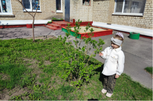 Всероссийский урок «Эколята – молодые защитники природы» Тематический занятие «Беречь природу - дар бесценный» Дежурная группа №4 Всероссийский урок «Эколята – молодые защитники природы» Тематический занятие «Беречь природу - дар бесценный» Дежурная группа №4.