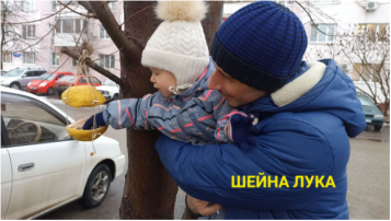Акция «Покормите птиц зимой» Дежурная группа №1 Акция «Покормите птиц зимой» Дежурная группа №1.